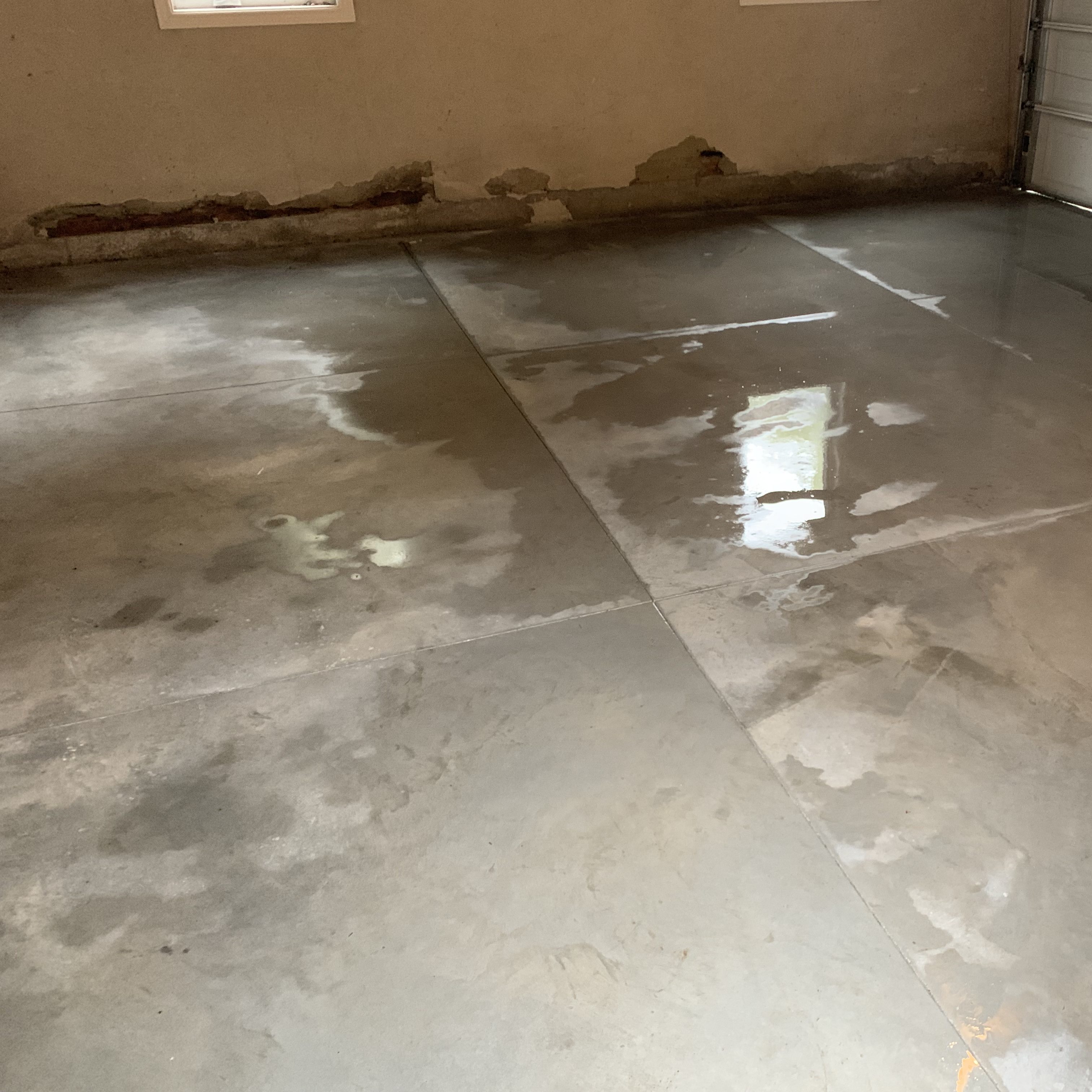 Polish Finished Concrete Floor in London Ontario