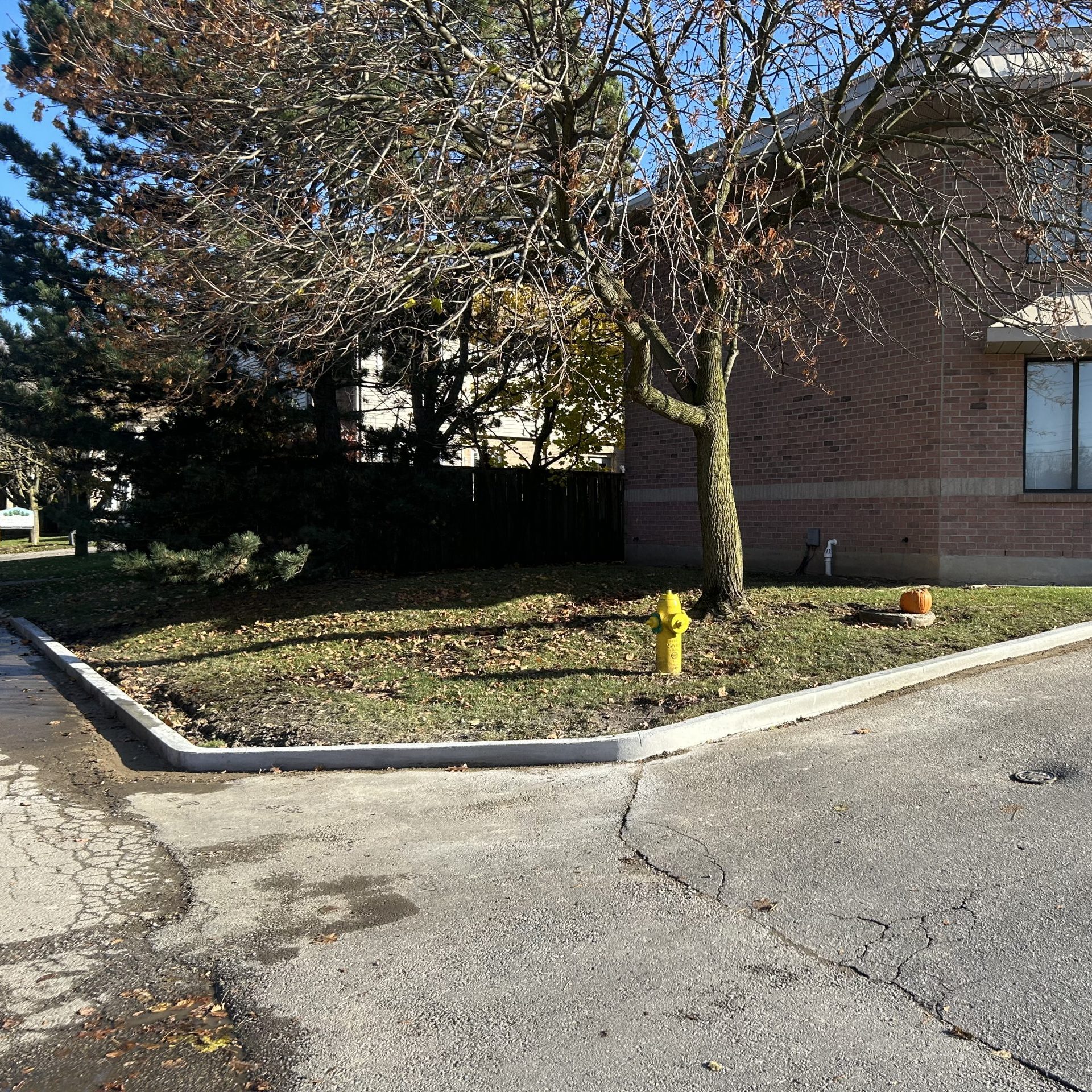 Standard Concrete Curb in London Ontario