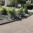Exposed Aggregate Concrete Curb in London Ontario